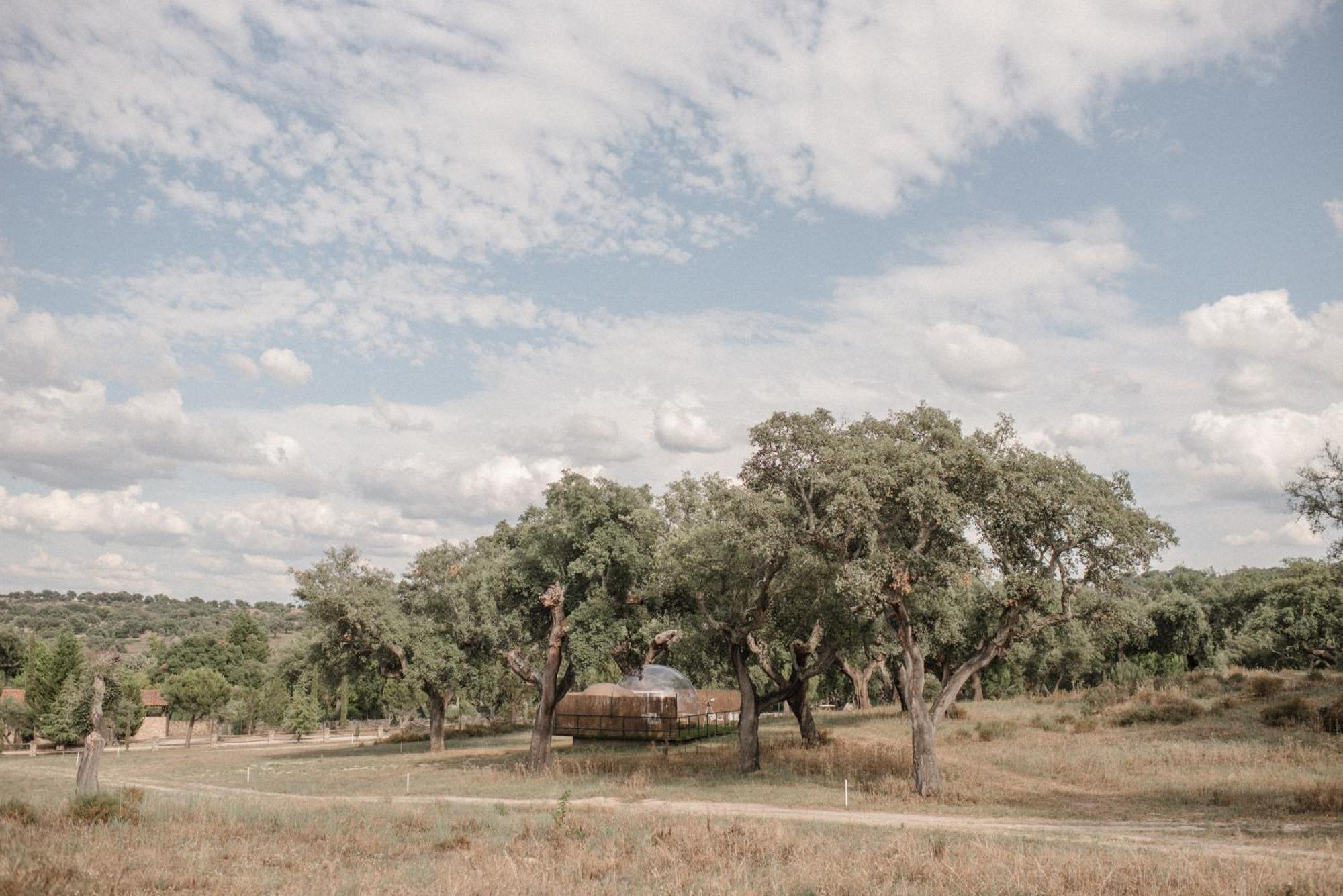 Finca El Cortinal Valencia de Alcántara Εξωτερικό φωτογραφία
