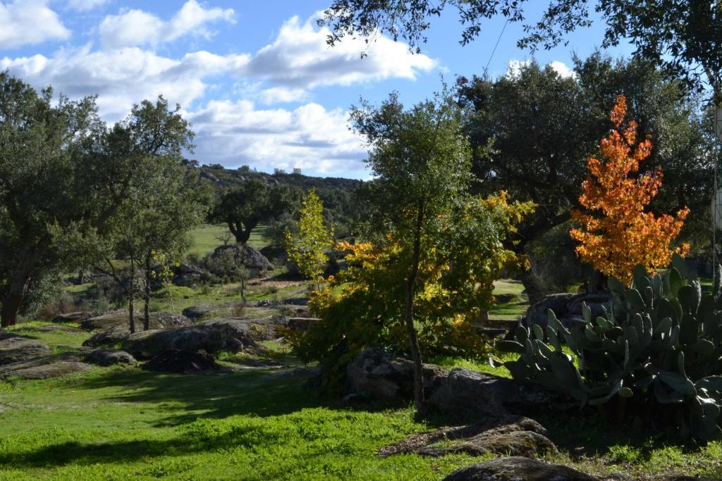 Finca El Cortinal Valencia de Alcántara Δωμάτιο φωτογραφία